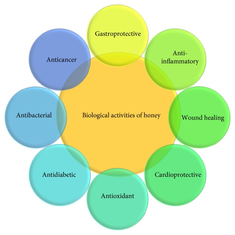 Benefits of Honey